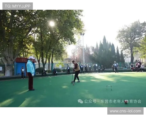 全运会群众赛事门球项目,八旬老人乐在其中 全运会群众赛事门球项目,八旬老人乐在其中